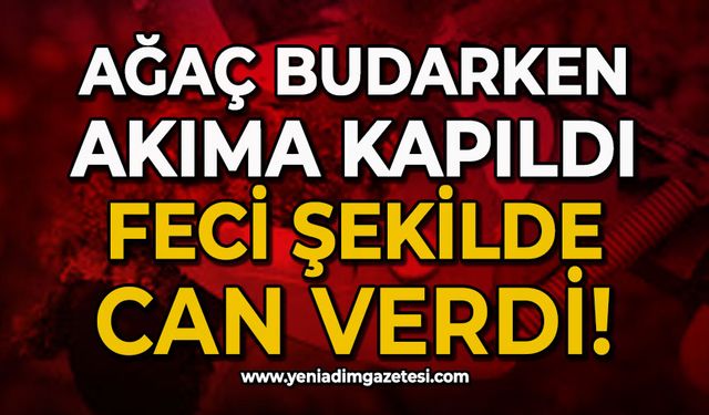 Ağaç budarken elektrik akımına kapılan bir kişi hayatını kaybetti