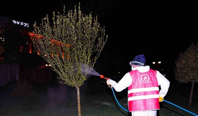 Bahar ilaçlaması başladı