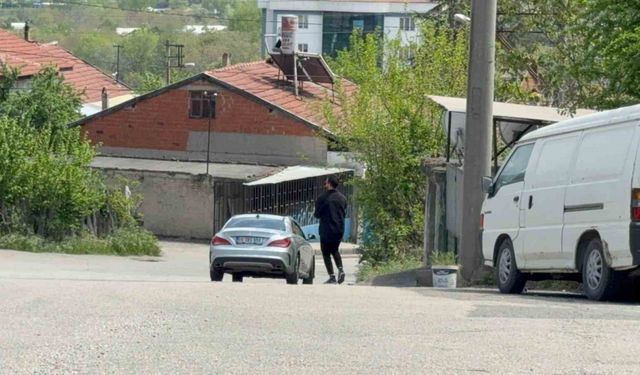 Duyarlı sürücü ve vatandaş, kaplumbağaları ezilmekten kurtardı