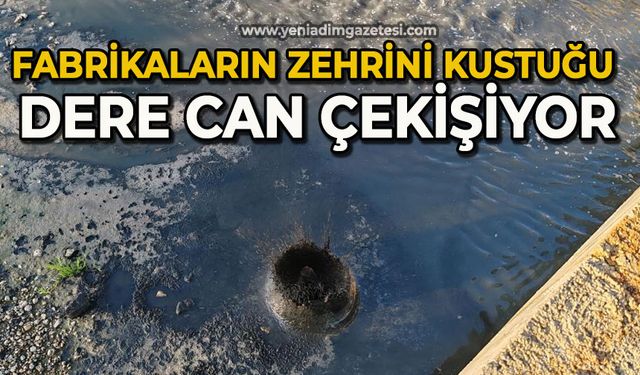 Fabrikaların zehrini kustuğu dere can çekişiyor