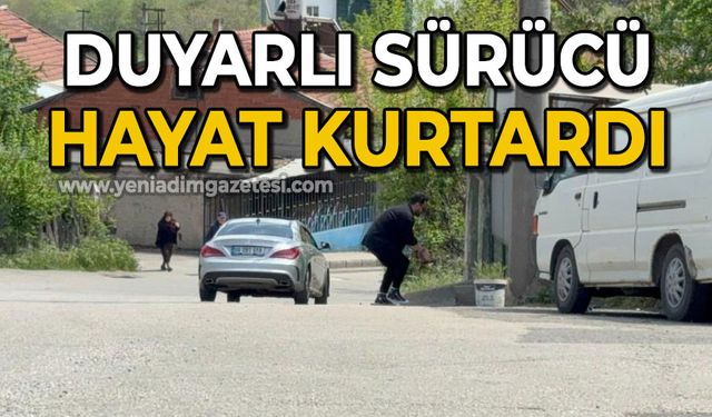 Duyarlı sürücü ve vatandaş, kaplumbağaları ezilmekten kurtardı