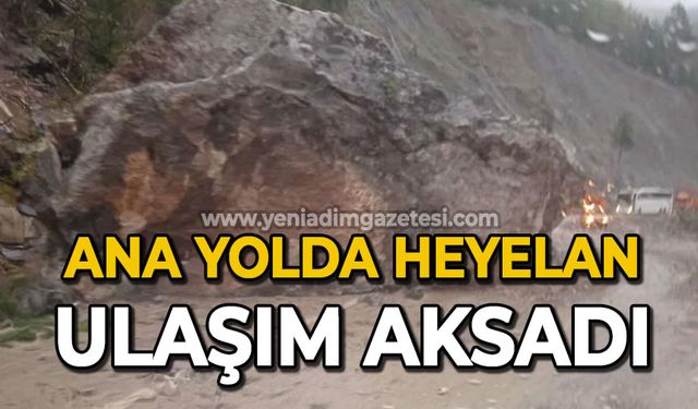 Ana yolda heyelan: Ulaşım aksadı