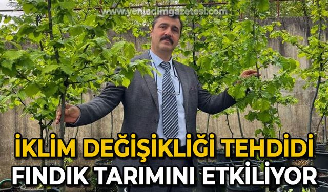 İklim değişikliği fındık tarımını tehdit ediyor