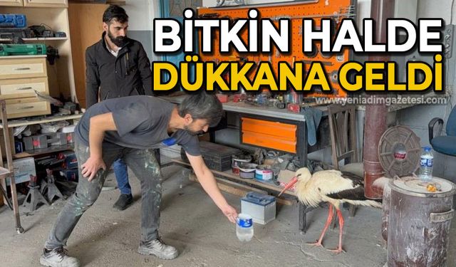 Bitkin haldeki leyleğe oto kaporta ustası sahip çıktı