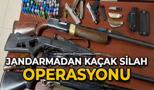 Jandarmadan kaçak silah operasyonu