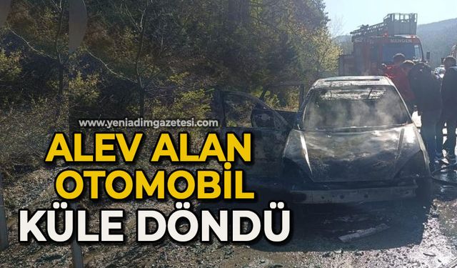 Alev alan otomobil küle döndü