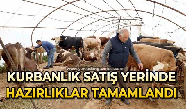 Kurbanlık satış yerinde hazırlıklar tamam
