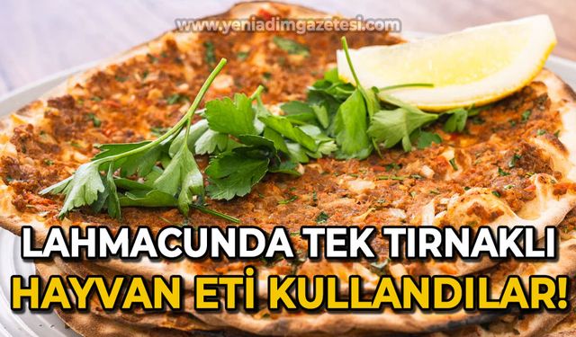 Lahmacunda tek tırnaklı hayvan eti kullanmışlar!
