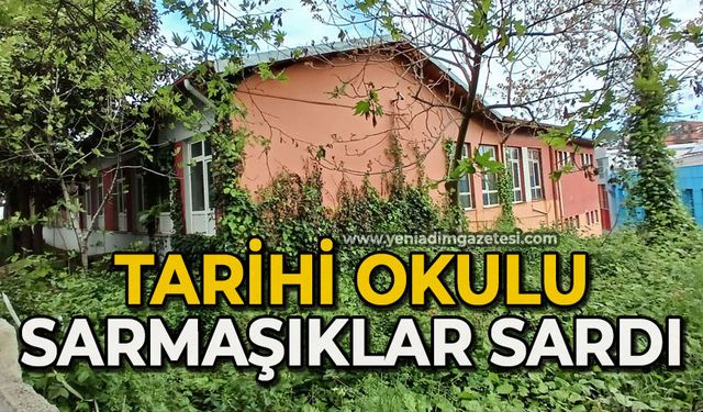 Tarihi okulu sarmaşıklar sardı