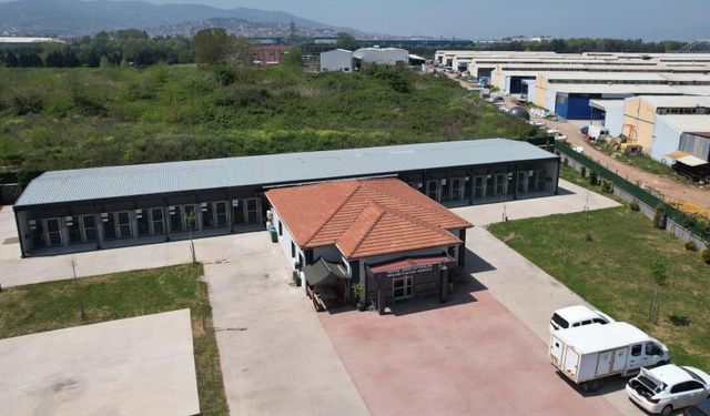 Kahraman köpek Proteo’nun adının yaşadığı merkez, sokak hayvanlarına şifa dağıtıyor