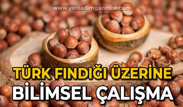 Türk fındığı üzerine bilimsel çalışma