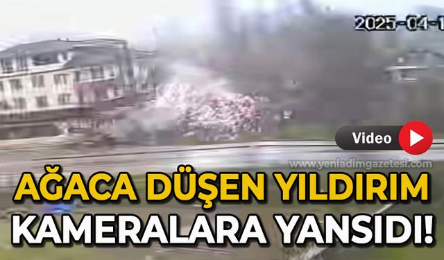 Ağaca düşen yıldırım kamerada