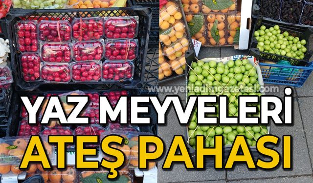 Yaz meyveleri ateş pahası