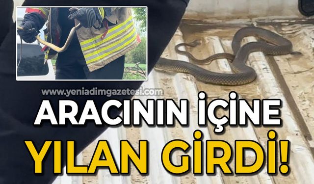 Aracının içine giren yılanı böyle uğurladı: "Bir daha gelme arkadaşım"
