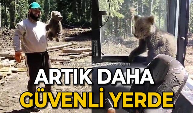 Orman işçilerinin yanına gelen yavru ayı koruma altına alındı