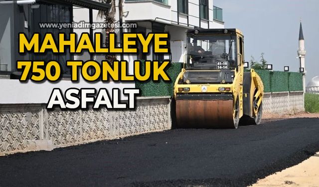 Mahalleye 750 tonluk asfalt