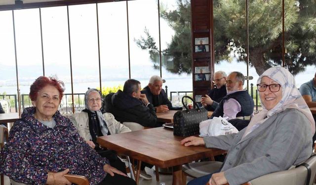 Çınarların yeni huzur durağı