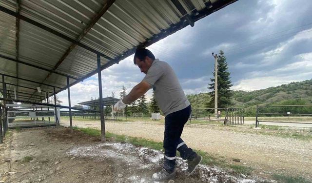 Kurban Bayramı öncesinde hazırlıklarını tamamladı