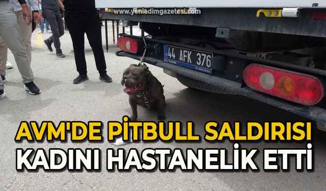 GENEL