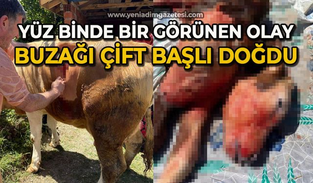 Yüz binde bir görülen olay