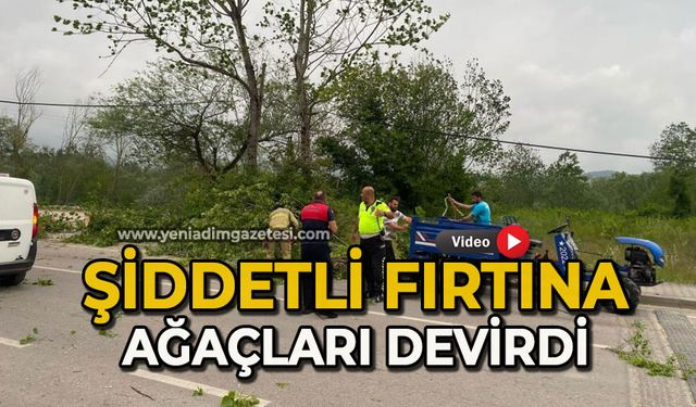 Şiddetli fırtınada ağaçlar devrildi