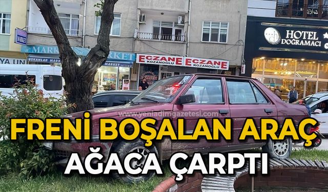 Freni boşalan araç ağaca çarptı