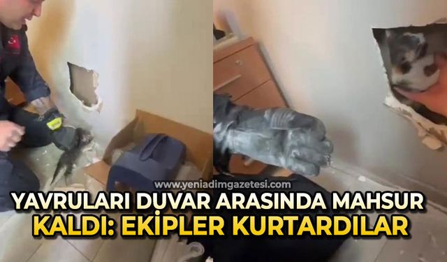 ZONGULDAK