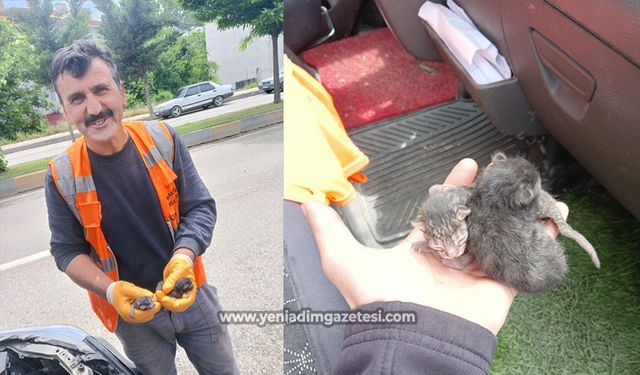 Araç motoruna sıkışan yavru kedileri itfaiye ekipleri kurtardı