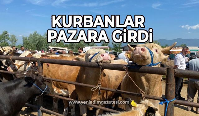 Kurbanlar pazara girdi