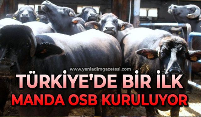 Türkiye'de ilk: Zonguldak'a Manda OSB kuruluyor