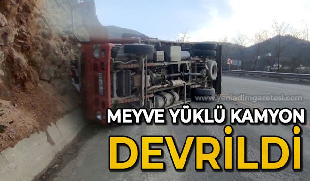 Meyve yüklü kamyon devrildi