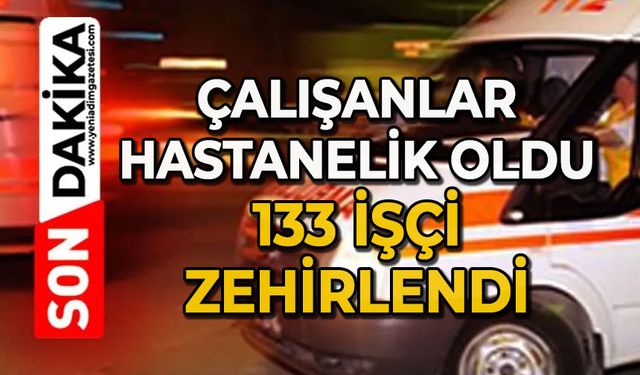 Çalışanlar hastanelik oldu: 133 kişi zehirlendi