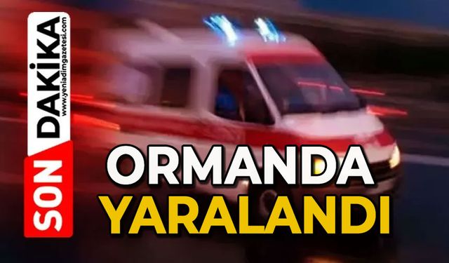 Ormanda yaralandı