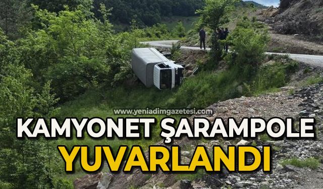 Kamyonet şarampole yuvarlandı