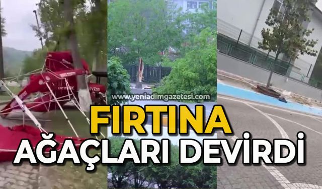 Şiddetli rüzgar ağaçları devirdi