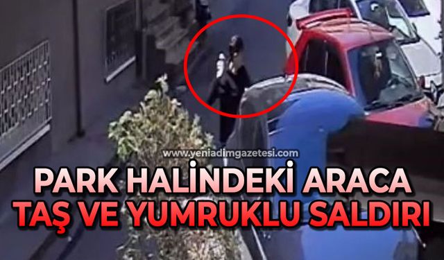 Park halindeki araca taş ve yumruklarla saldırdı