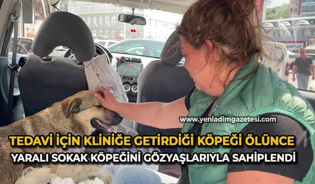 Tedavi için kliniğe getirdiği köpeği ölünce yaralı sokak köpeğini gözyaşlarıyla sahiplendi