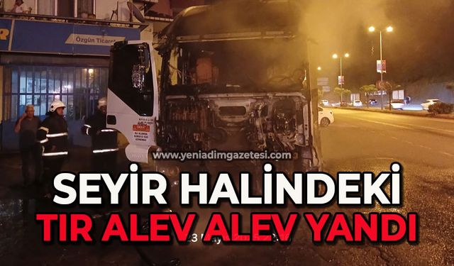 Seyir halindeki tır alev alev yandı