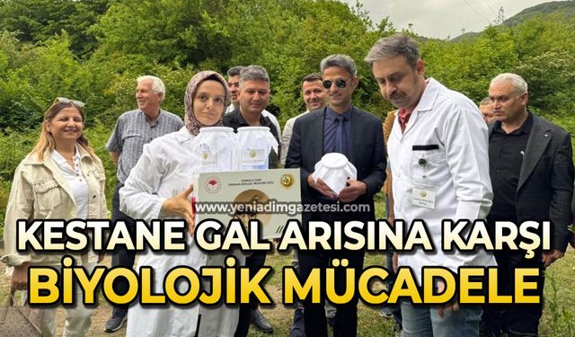Kestane gal arısına karşı biyolojik mücadele