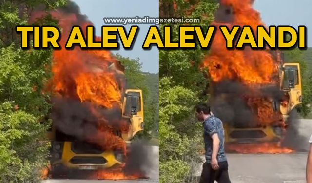 Seyir halindeki damperli tır alev alev yandı