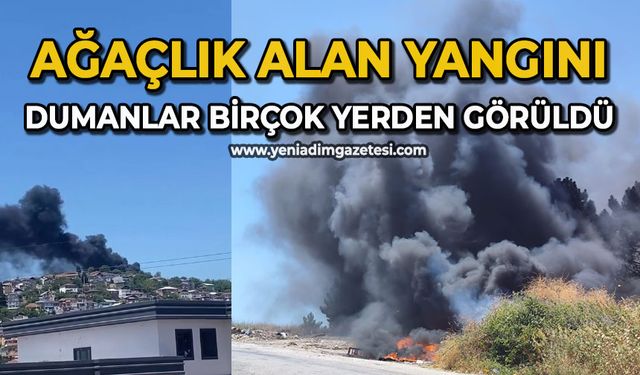 Ağaçlık alan yangını: Dumanlar birçok yerden görüldü
