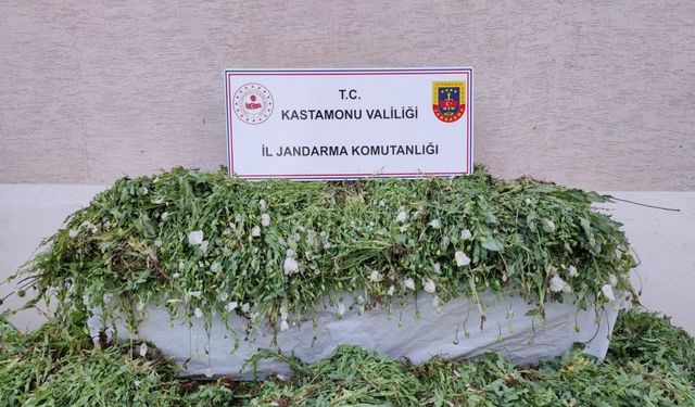 120 bin kök haşhaş ele geçirildi