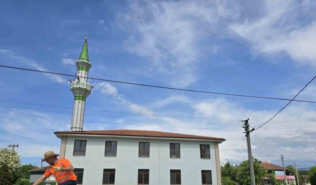Cami çevresi düzenlendi