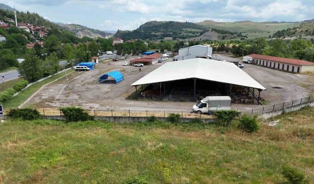 Kurban satış noktası ve ücretsiz servis duyurusu