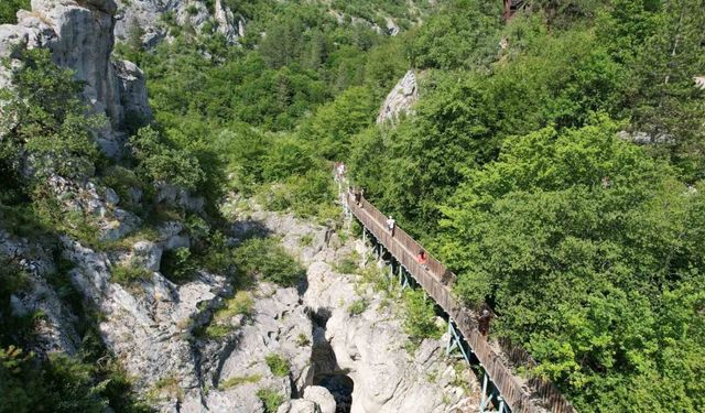 Lübnan merkezli seyahat acentelerinden Kastamonu çıkarması