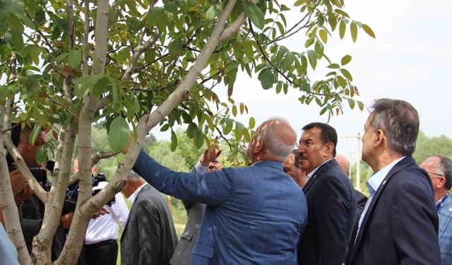 TBMM Zirai Don Araştırma Komisyonu, Bolu’da inceleme yaptı