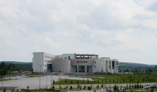 Yapay zekâ destekli yeni hizmet