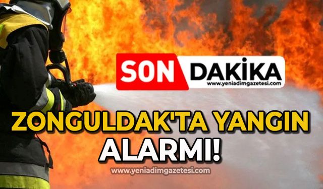 Zonguldak'ta yangın alarmı!