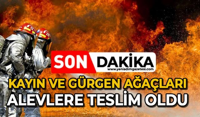 Kayın ve gürgen ağaçları alevlere teslim oldu