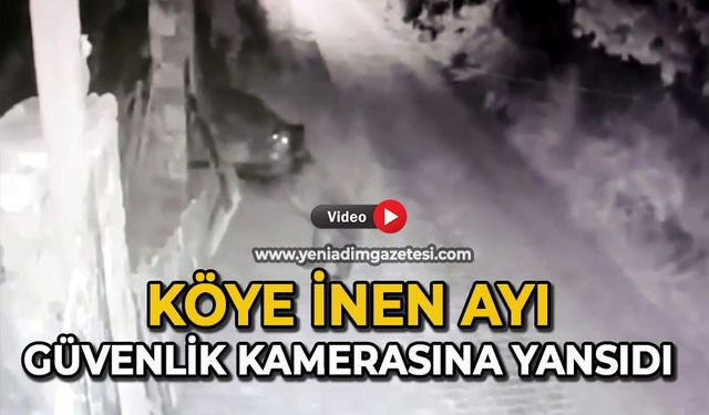 Köye inen ayı güvenlik kamerasına yansıdı